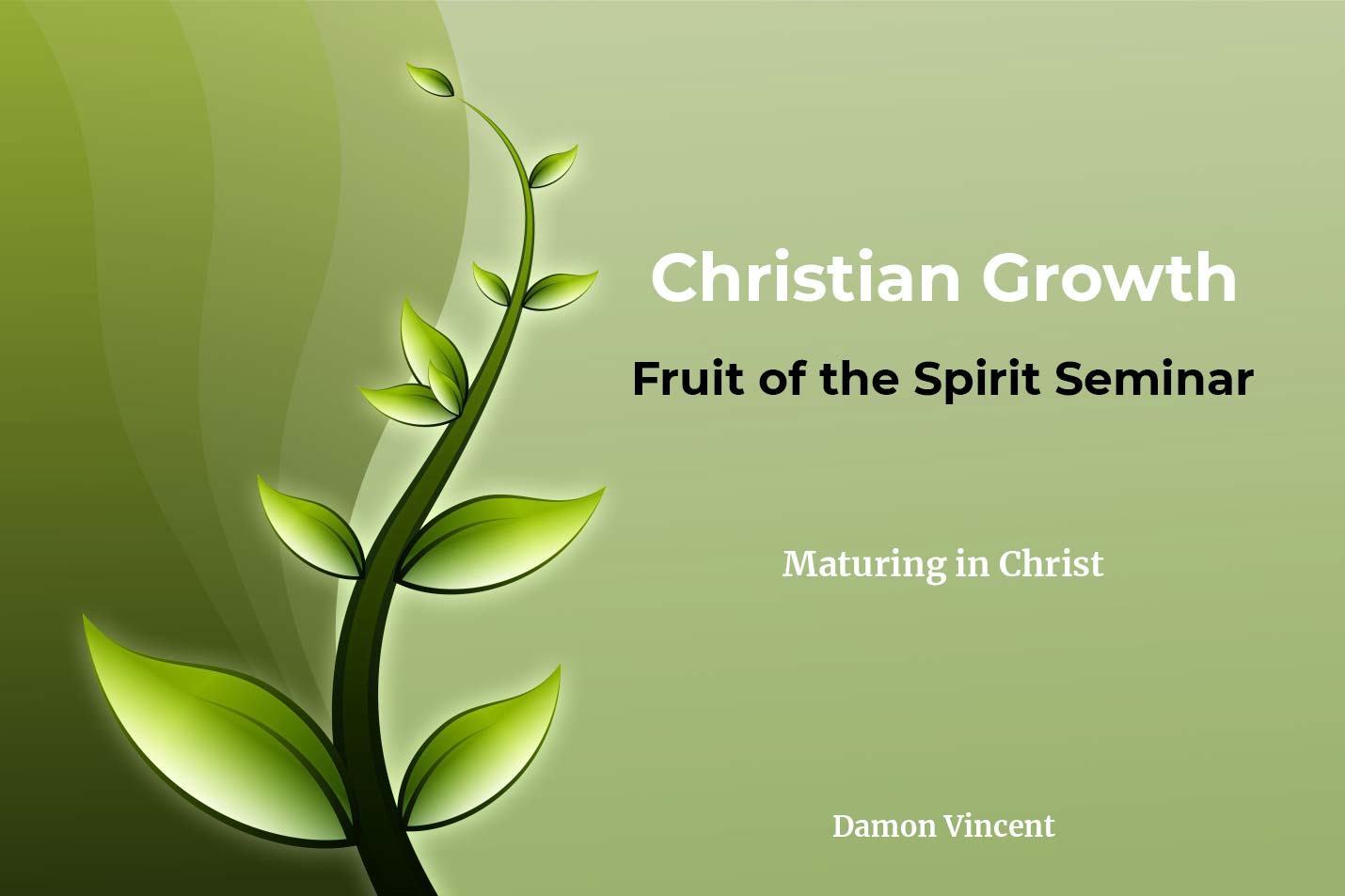 Fruit of the Spirit Seminar